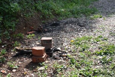 Klicken für Bild in voller Größe