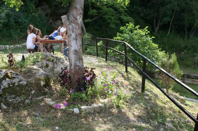 Klicken für Bild in voller Größe